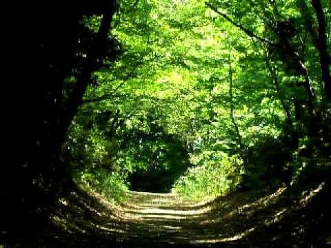 21023e7299ceb-7d45-4fd9-a456-018cae4ec2c4_m